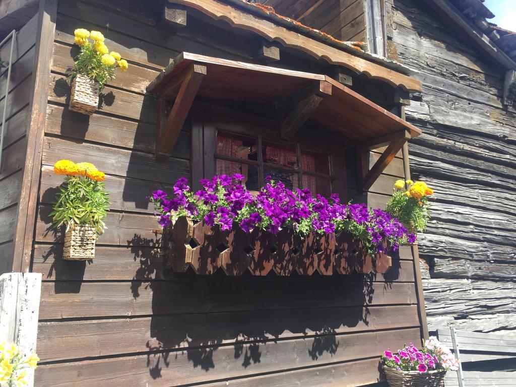 Ascot-Zermatt Apartment Exterior photo